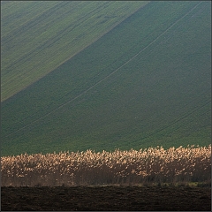 24.3.2010 - Jizni Morava